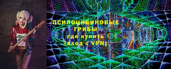 мдпв Россошь