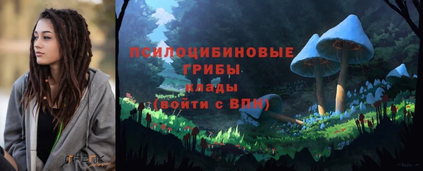 ECSTASY Алексин