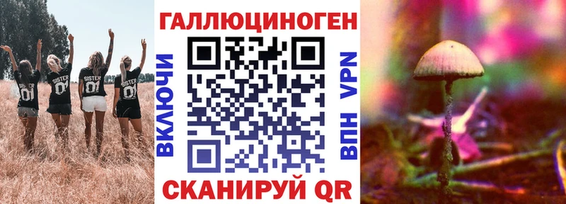 Псилоцибиновые грибы Psilocybine cubensis  Белорецк 
